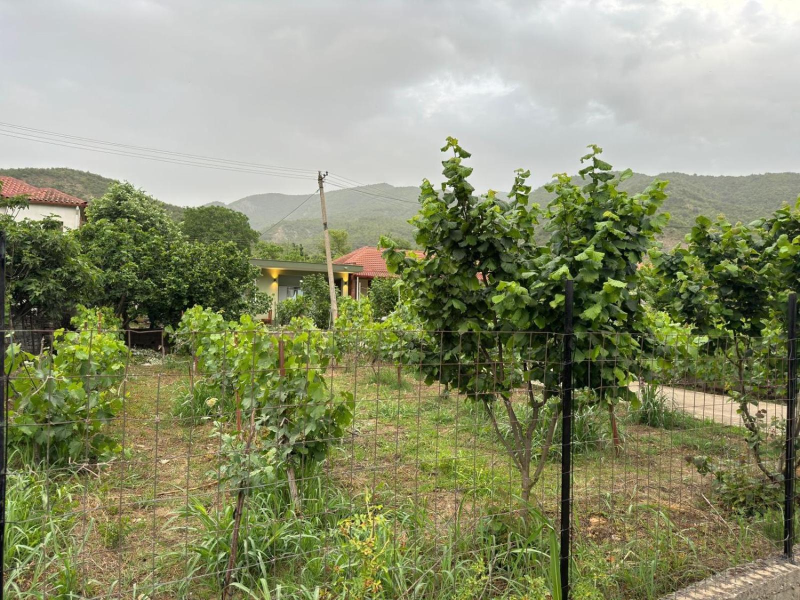 Green House Përmet 외부 사진